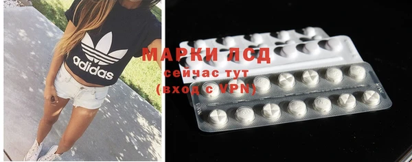 мдпв Абаза