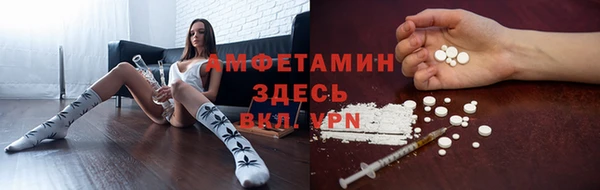 ALPHA PVP Покров