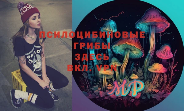 ALPHA PVP Покров