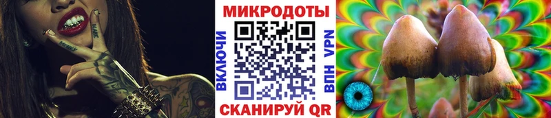 где продают наркотики Кедровый кракен онион Галлюциногенные грибы Psilocybine cubensis